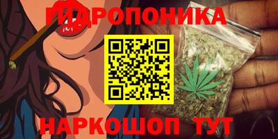 ECSTASY Рязань