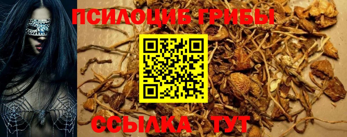 Галлюциногенные грибы прущие грибы  Вход с VPN  Ростов Великий  Псилоцибиновые грибы мицелий 